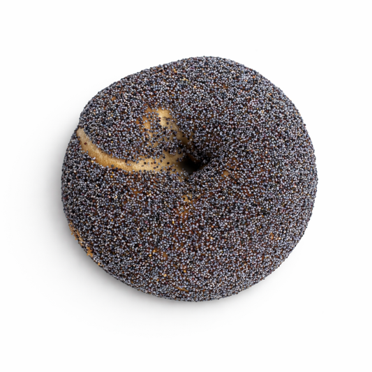 Poppy Seed Bagel
