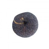 poppy-seed-bagel
