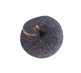 Poppy Seed Bagel